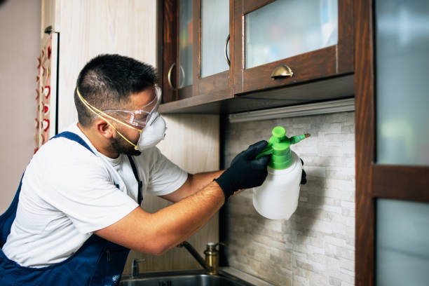 Best Best Pest Control Companies  in Dover, NH