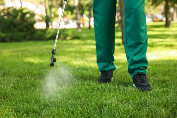 Best Flea Control Services  in Dover, NH