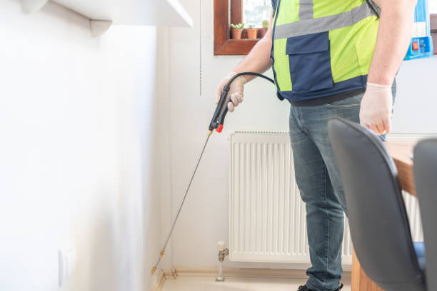 Trusted Dover, NH Pest Control Experts