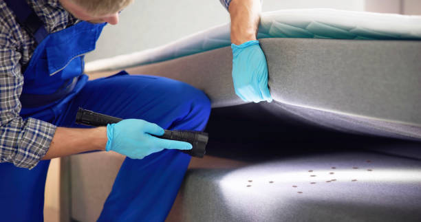 Best Wasp Removal Services  in Dover, NH