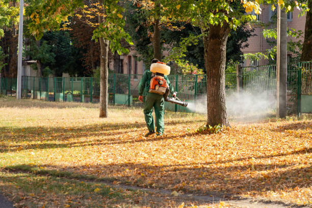 Best Mosquito Control Services  in Dover, NH