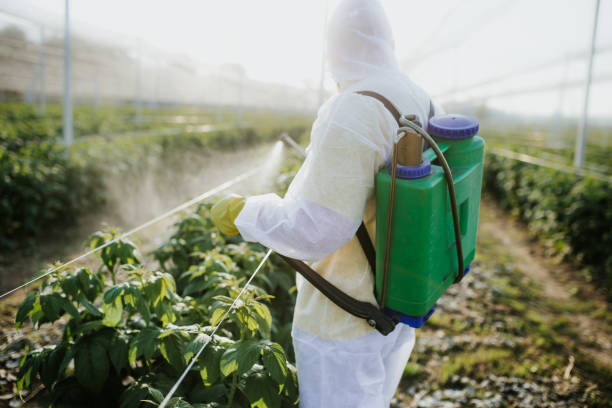 Best Emergency Pest Control  in Dover, NH
